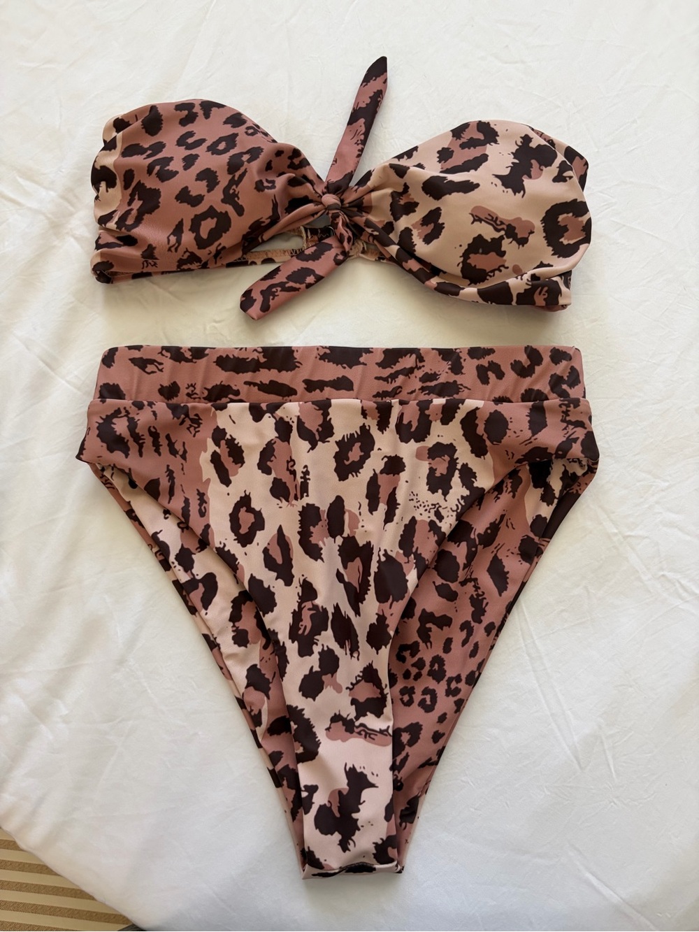 Leopard Print Bandeau Bikini Set